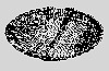 bthmschg.jpg (4351 bytes)