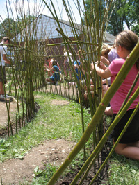 Participants weaving willows in their "Fedge"