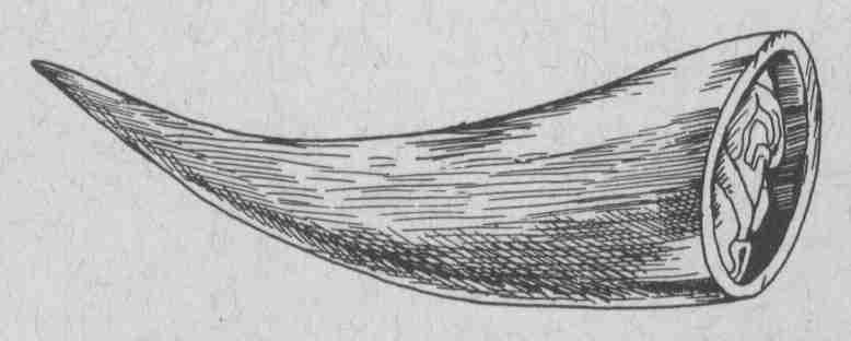toolhorn.jpg (13489 bytes)