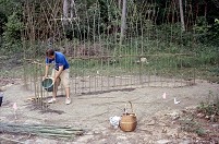 5) Watering the structure