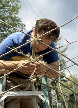 7) Working on the arch