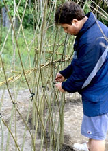 9) Tying the structure
